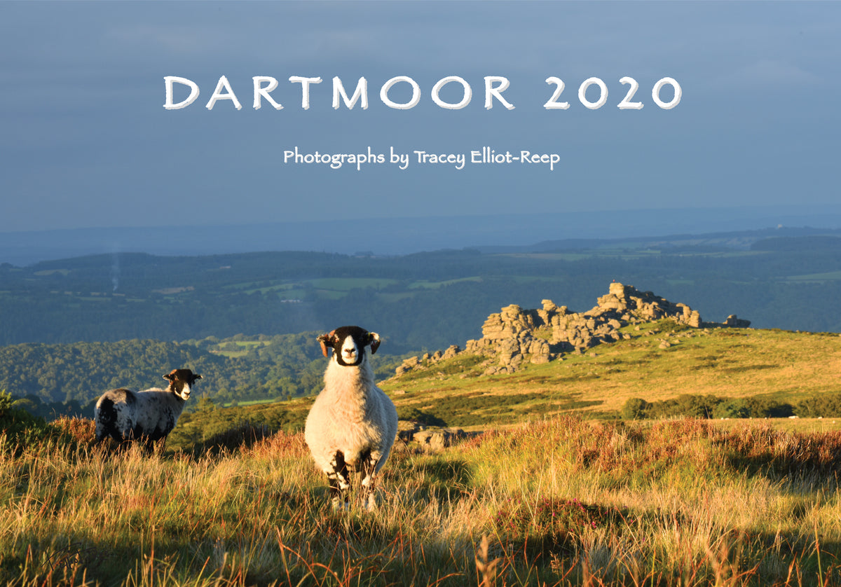 NEW 2020 DARTMOOR CALENDAR IS OUT! Tracey ElliotReep