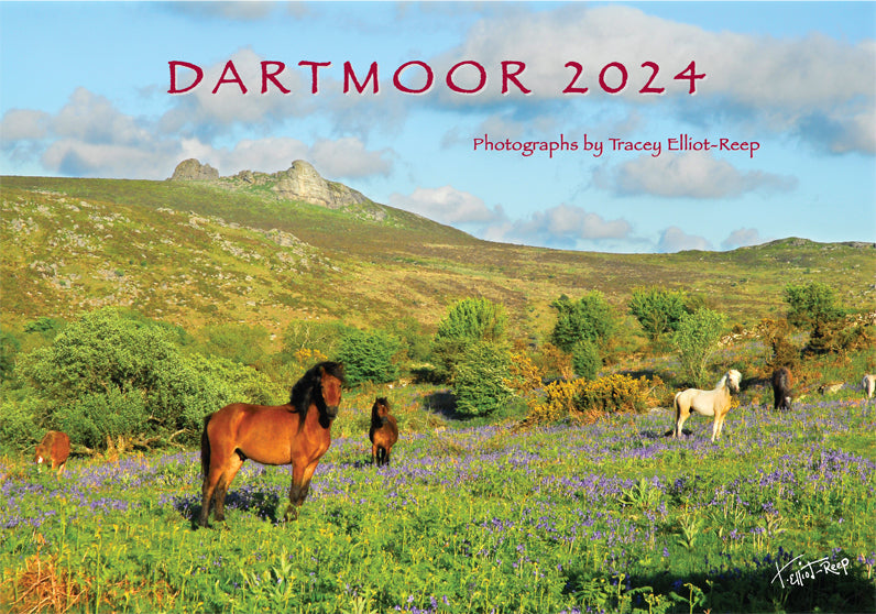 Editing my 2025 Dartmoor Calendar!! Tracey ElliotReep