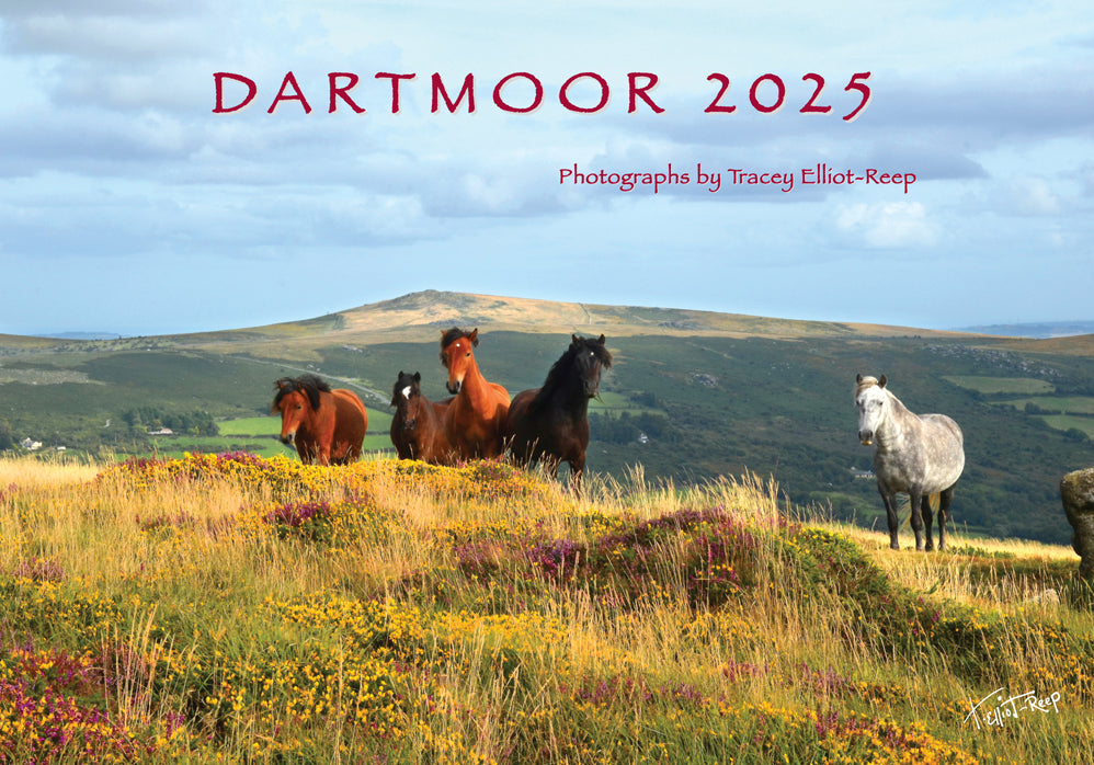 Dartmoor 2025 Calendar! Tracey ElliotReep