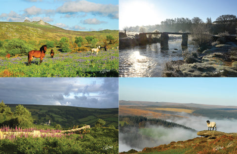 Four Dartmoor postcards enclosed in my Dartmoor calendar