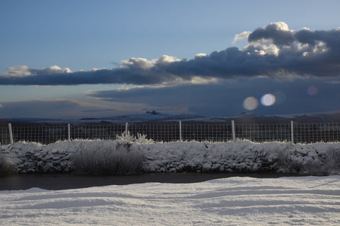 Snow on Hameldown, Dartmoor!