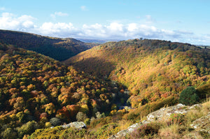 The Tiegn Gorge in November