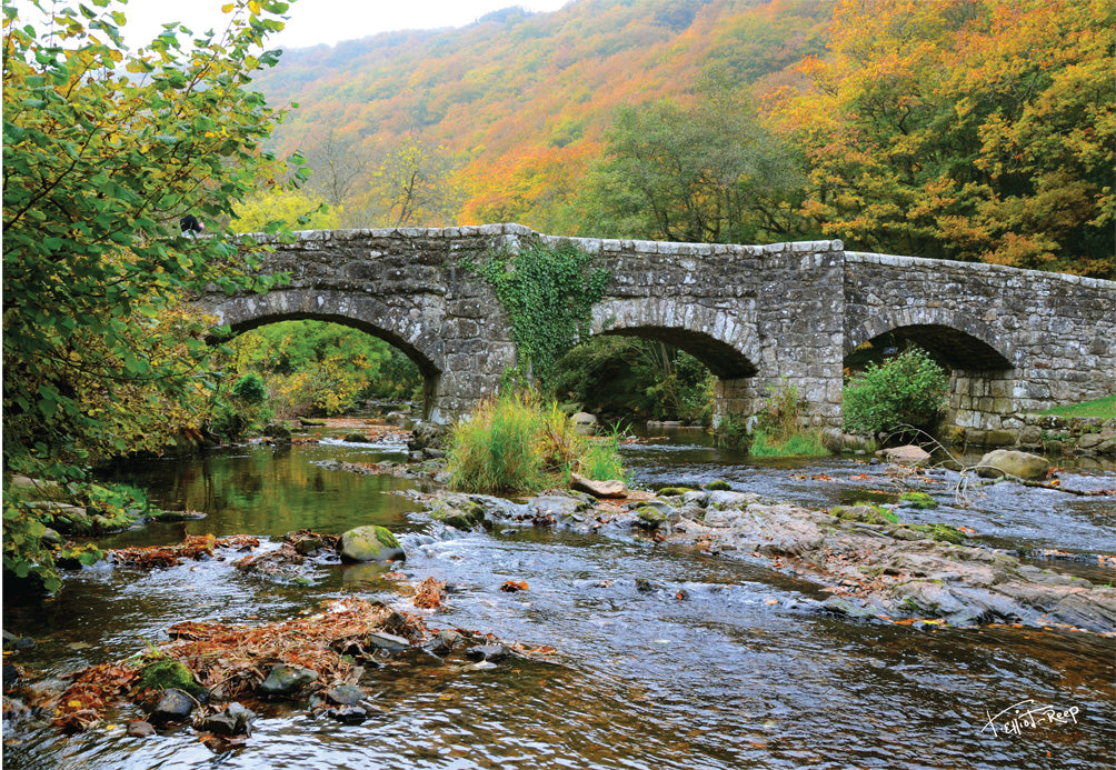 Autumn colours on Dartmoor