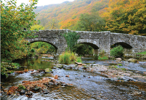 Autumn colours on Dartmoor