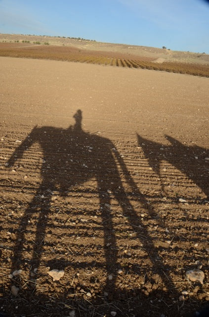 Shadow Riding!