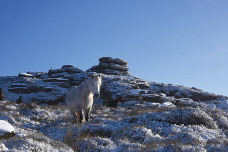 CA025 - Dartmoor 2025 Calendar