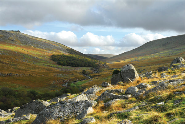 CA025x2 - Dartmoor 2024 Calendar (2 for 22)