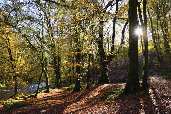 CA025x3 - Dartmoor 2025 Calendar (3 for £30)