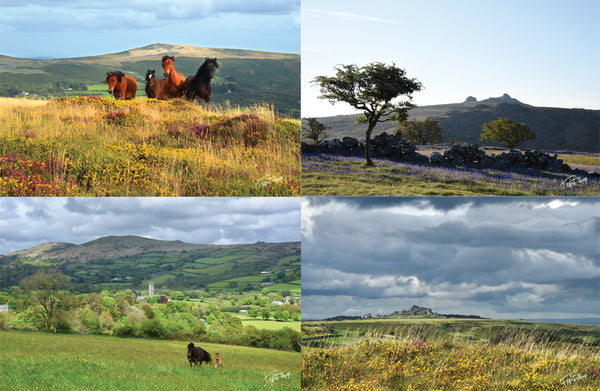 CA025x2 - Dartmoor 2024 Calendar (2 for 22)