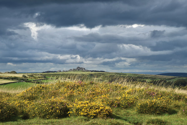 CA025x2 - Dartmoor 2024 Calendar (2 for 22)